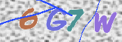 Güvenlik Kodunun Resmi