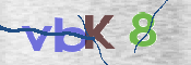 Güvenlik Kodunun Resmi