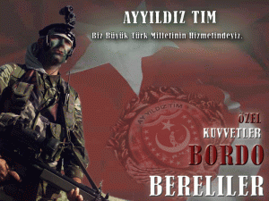 b-262535-bordo_bereli